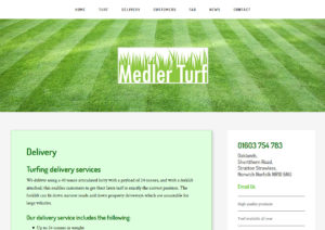 Medler Turf, Norwich