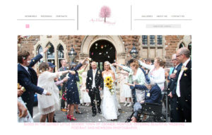 Amy Elizabeth Photography