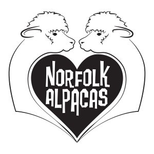 Norfolk Alpacas