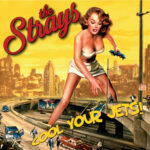 WSRC164 - The Strays - Cool Your Jets CD